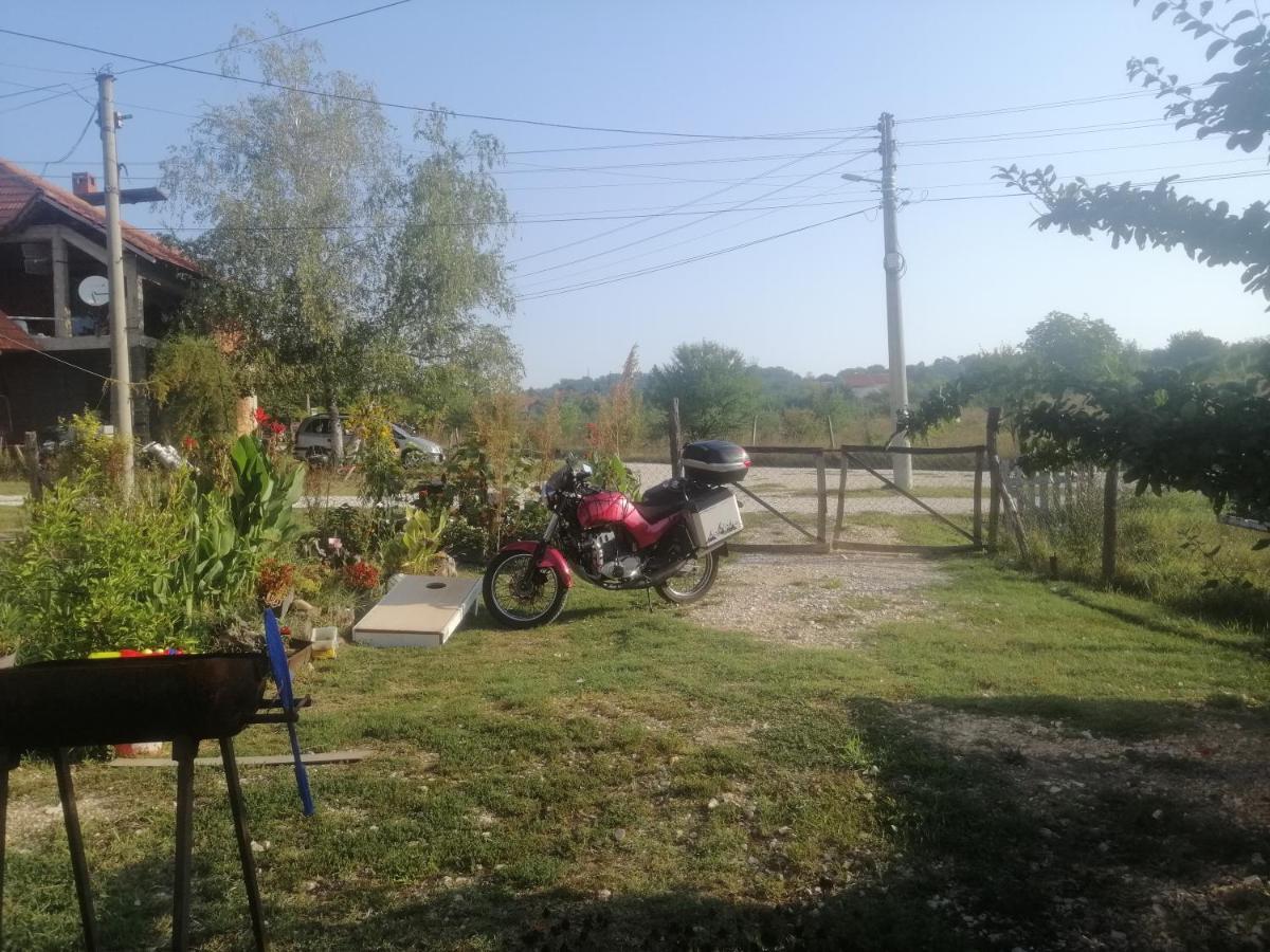 Apartament Stancic 019 Zaječar Zewnętrze zdjęcie